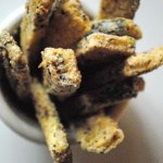 Kid Friendly Baked Zucchini Fries