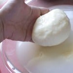 Separating the Curds from the Whey - Cheese making