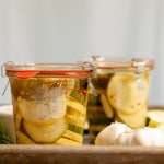 Spicy Zucchini Refrigerator Pickles