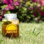 Sun Tea